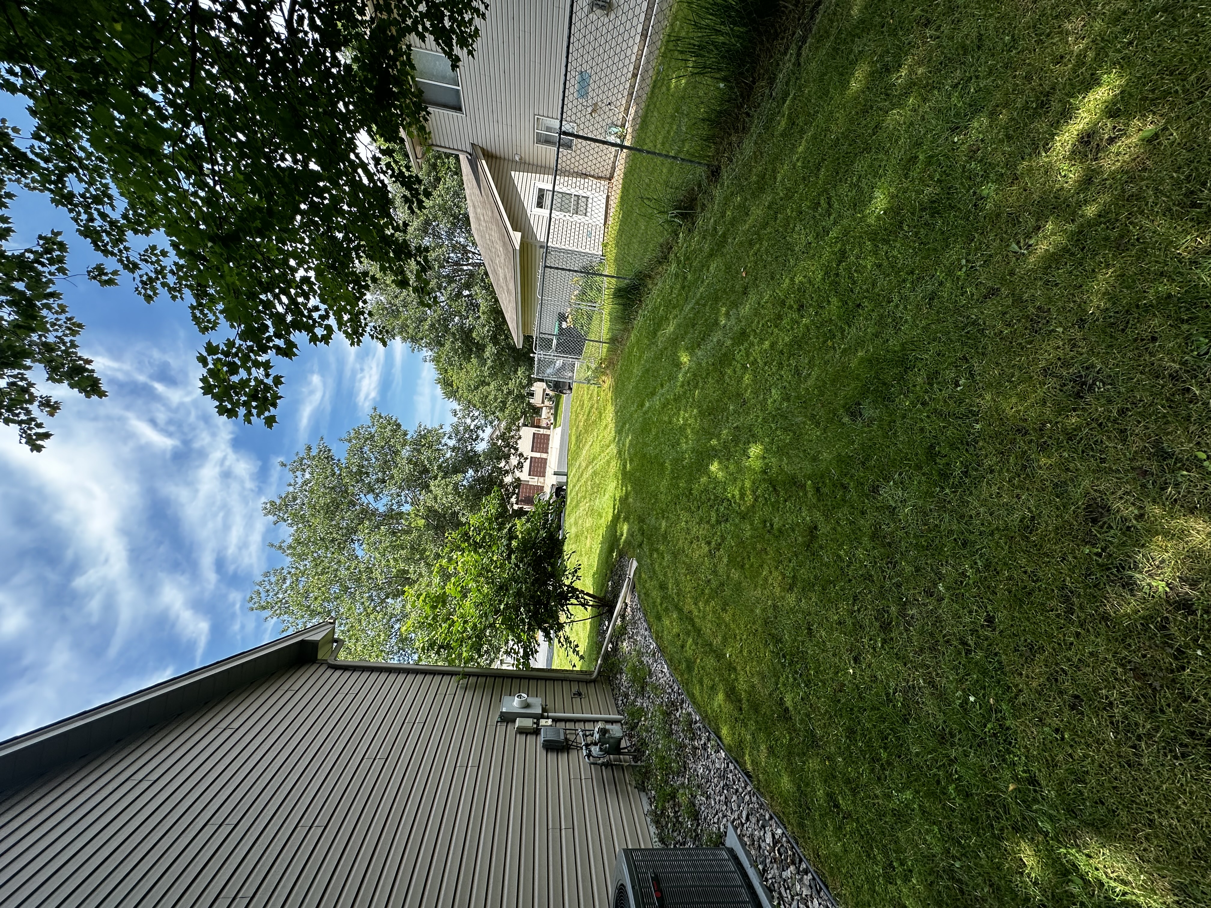 Yard maintenance service
