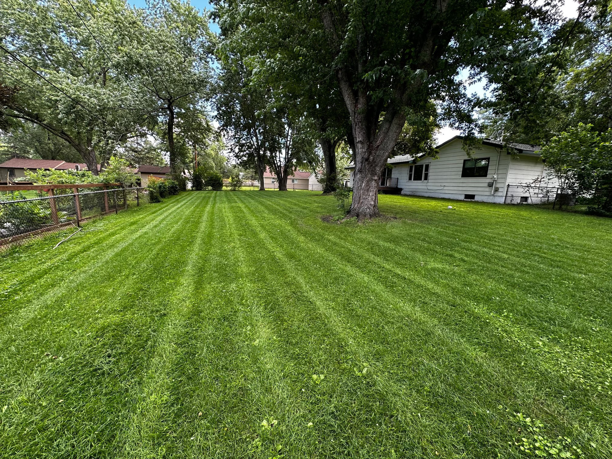 Professional landscaping